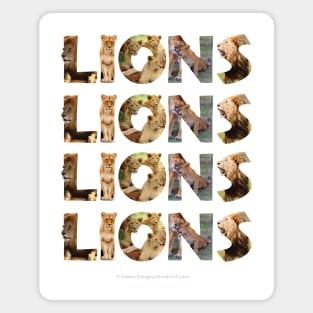 Lions lions lions..... - wildlife oil painting word art Magnet